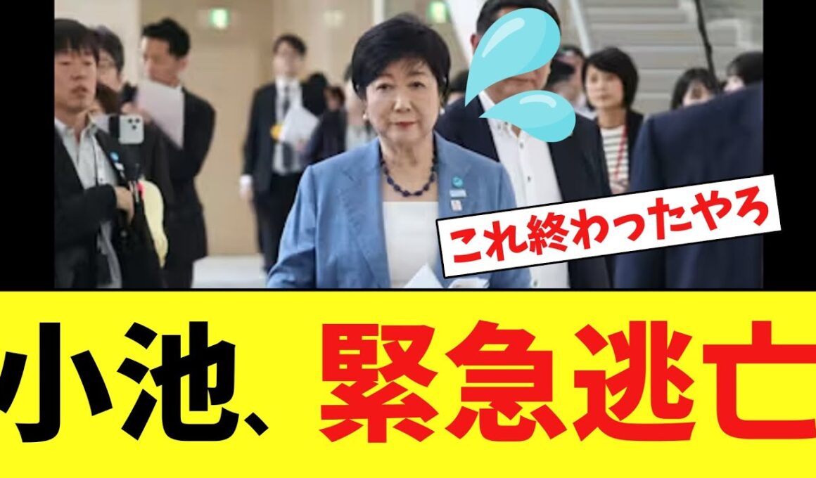 小池百合子さん、移民政策で炎上し遂に逃亡する…