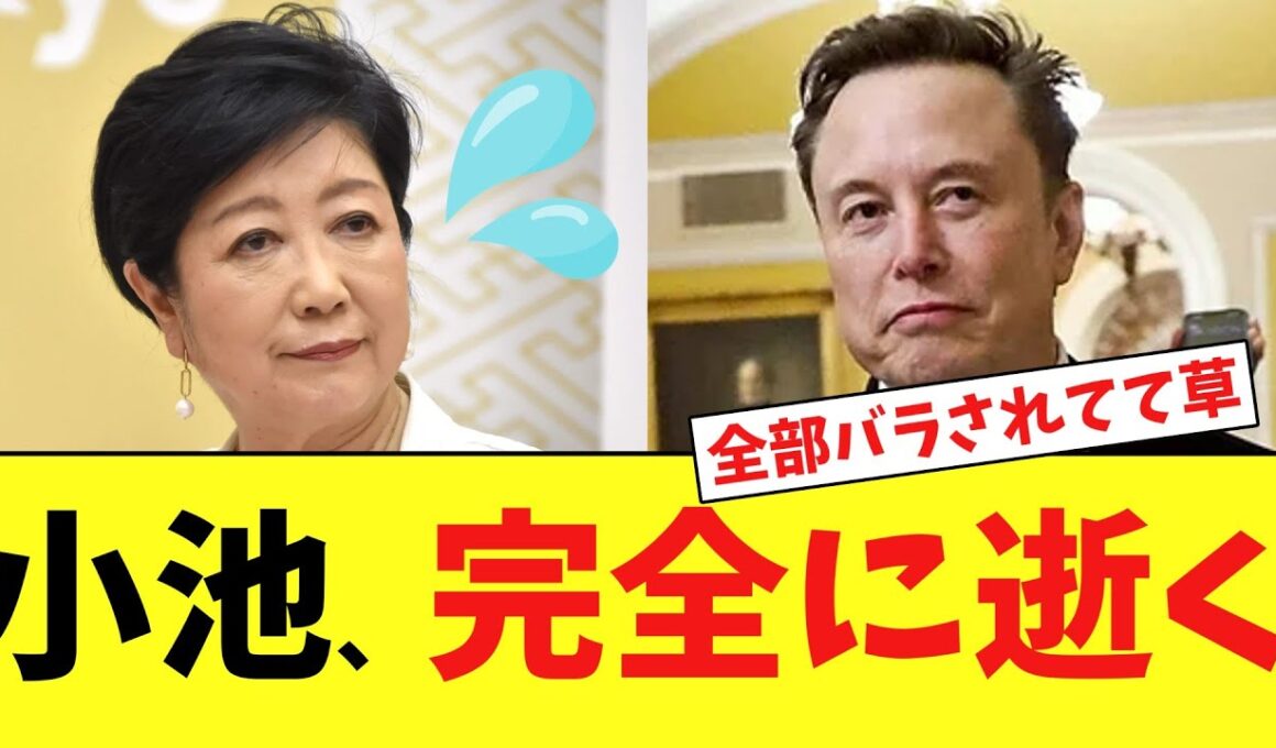 小池百合子さん、Xでマスク氏への大暴露合戦が始まり終わるｗｗｗ」