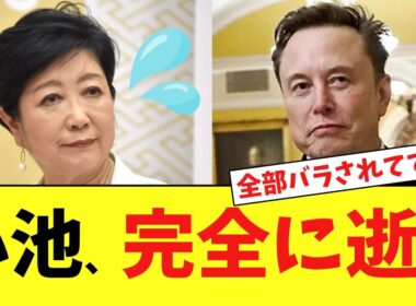 小池百合子さん、Xでマスク氏への大暴露合戦が始まり終わるｗｗｗ」