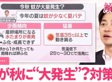 【#みんなのギモン】蚊が秋に“大発生”？  異変…対策は