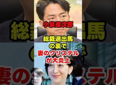 小泉進次郎総裁選出馬の裏で妻のクリステルが大炎上 #自民党 #小泉進次郎 #総裁選 #政治