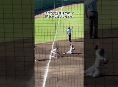 野呂監督の最後の夏が台無しに #高校野球 #桐光学園 #日大藤沢
