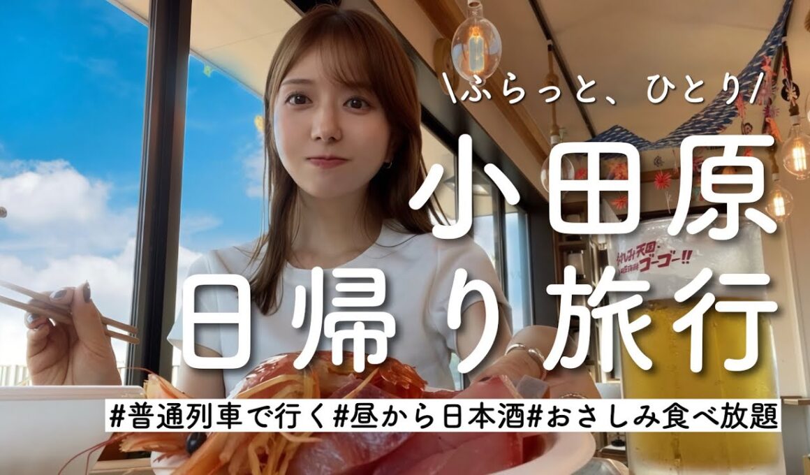 【日帰り小田原】1人でふらっと旅に出たくなったので。おすすめ海鮮食べ放題で爆食も🦞