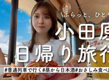 【日帰り小田原】1人でふらっと旅に出たくなったので。おすすめ海鮮食べ放題で爆食も🦞