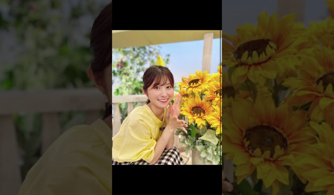 佐藤佳奈 #読売テレビ #可愛い #アナウンサー