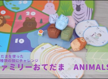 現代版おてだま　知育玩具｜ファミリーおてだまで遊んでみよう