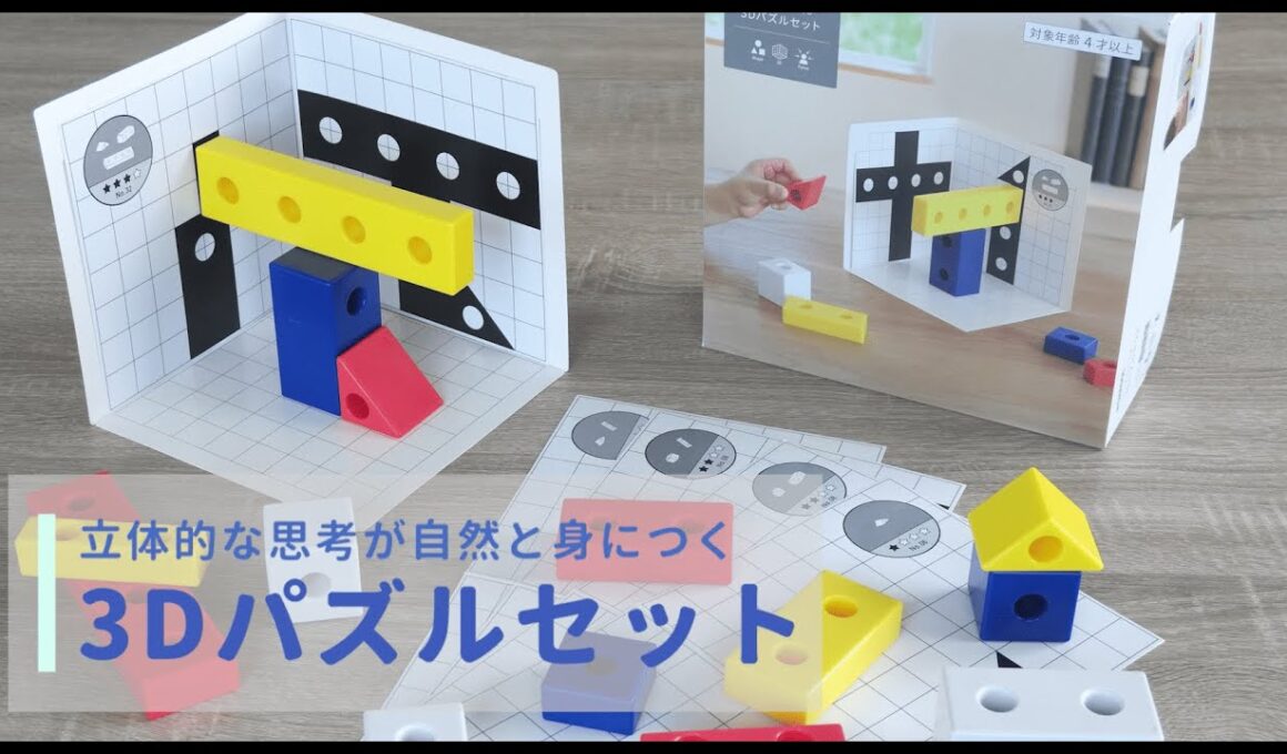 レベル4段階・40問の問題に挑戦　知育玩具｜３Dパズルセットで遊んでみよう