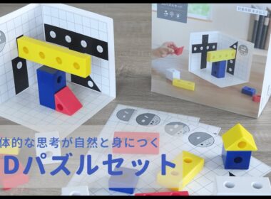 レベル4段階・40問の問題に挑戦　知育玩具｜３Dパズルセットで遊んでみよう