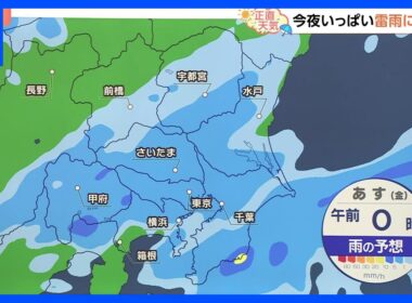 【9月19日 関東の天気】今夜 もう一度雷雨｜TBS NEWS DIG