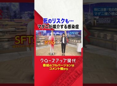 過去最多　マダニが媒介する感染症【クロ現】|NHK | #shorts