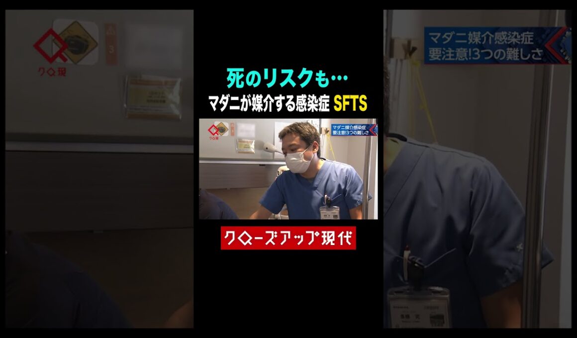 死のリスクも…マダニが媒介するSFTSとは【クロ現】| NHK | #shorts