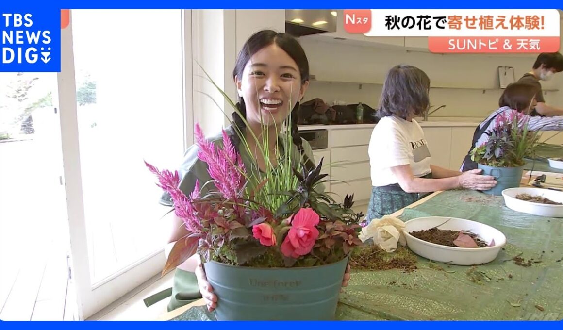 一つの鉢植えに季節の花々を自分好みに…ガーデニングの一種“寄せ植え” ポイントは？長くて2か月楽しめるものも【Sunトピ】｜TBS NEWS DIG