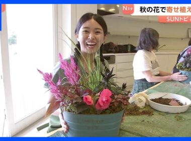 一つの鉢植えに季節の花々を自分好みに…ガーデニングの一種“寄せ植え” ポイントは？長くて2か月楽しめるものも【Sunトピ】｜TBS NEWS DIG