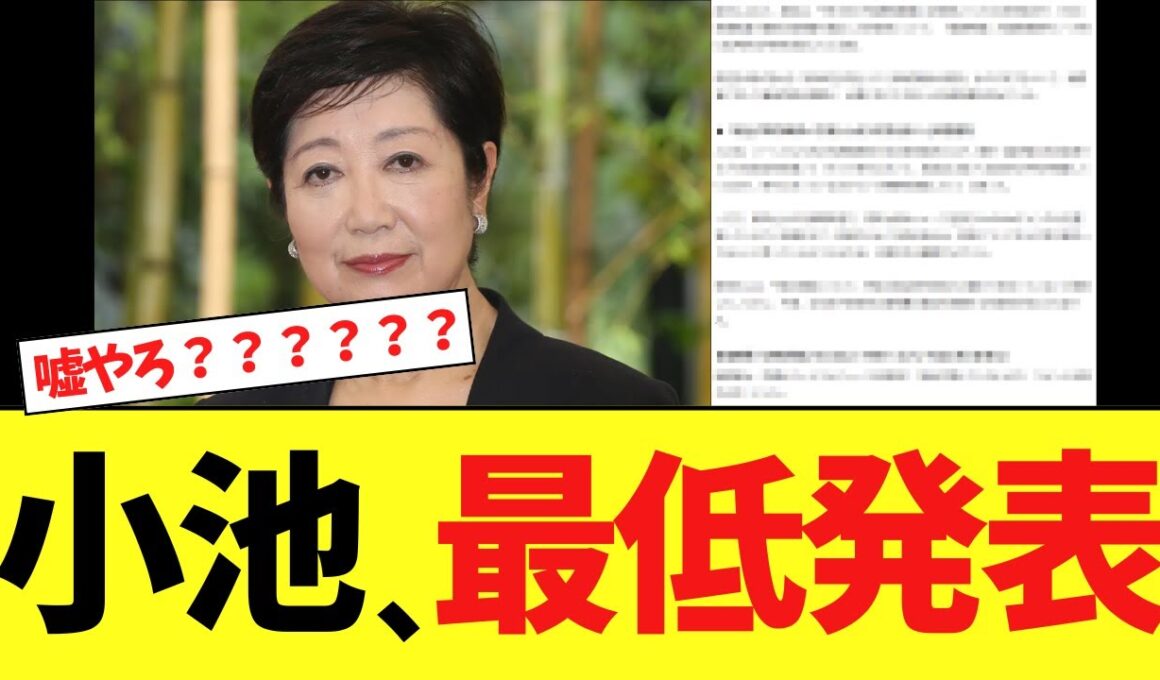 小池百合子さん、学歴疑惑やデモについて最低発表をする…