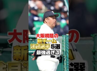 【最強過ぎ…】大阪桐蔭の新チーム注目選手5選#shorts  #大阪桐蔭　#強すぎ　#秋季大会　#西谷監督　#高校野球