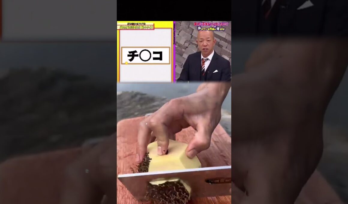 #全力!脱力タイムズ #脱力タイムズ #全力 #全力脱力タイムズ #DatsuryokuTaimuzu #アリタ哲平 #有田哲平 #小澤陽子 #斉藤舞子 #奥寺健