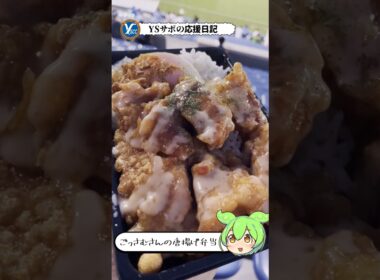 JFL観戦の旅_YSCC横浜(VS)ヴェルスパ大分 #yscc横浜 #ヴェルスパ大分 #jリーグ #shorts #JFL