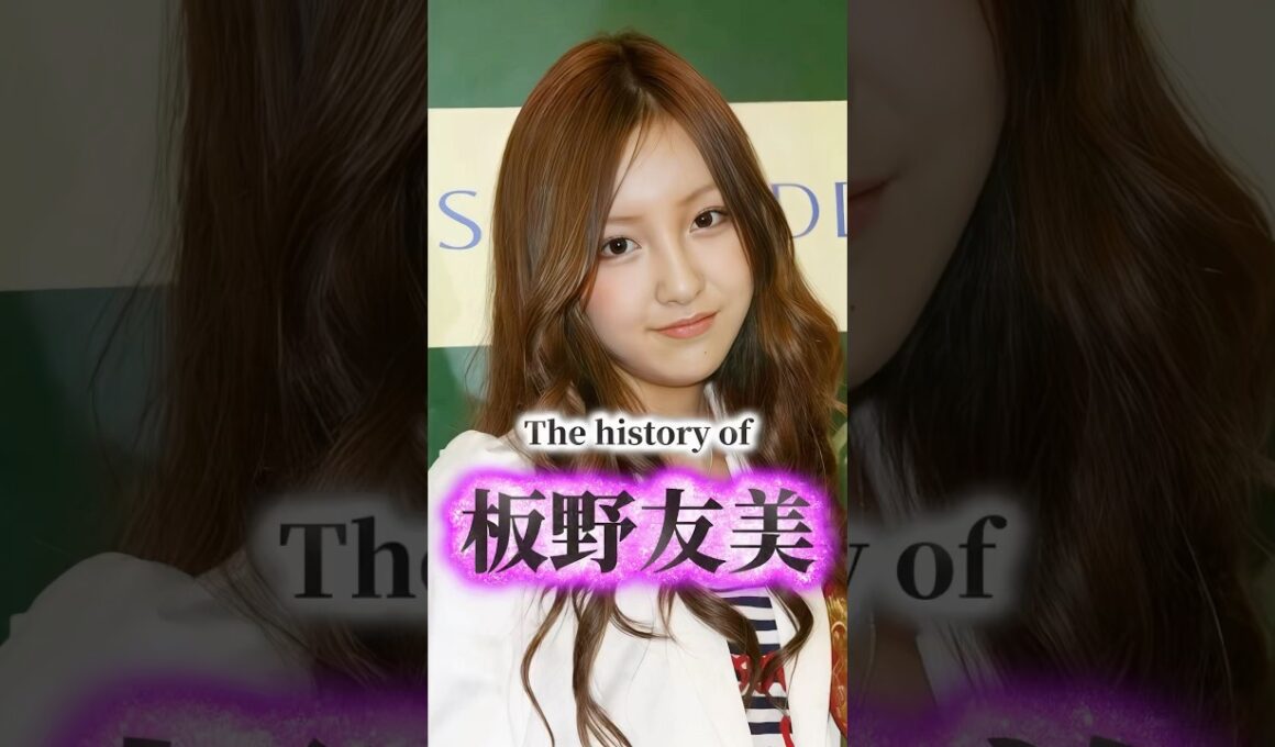 板野友美の歴史
