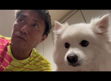 【雑談、日報】体が四つ欲しいと思った今日日曜日。カメラマン、バドミントンコーチ、金魚愛好会会長職、ギタリス、それぞれの大事なイベントがなんと同日開催に
