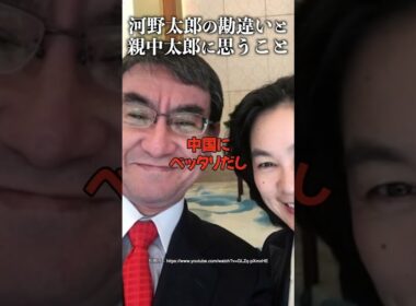 河野太郎の勘違いと親中太郎に思うこと #自民党 #石破茂