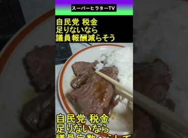 自民党 税金足りないなら議員報酬減らそう 2025.09.21 スーパーヒラターTV ショート #shorts