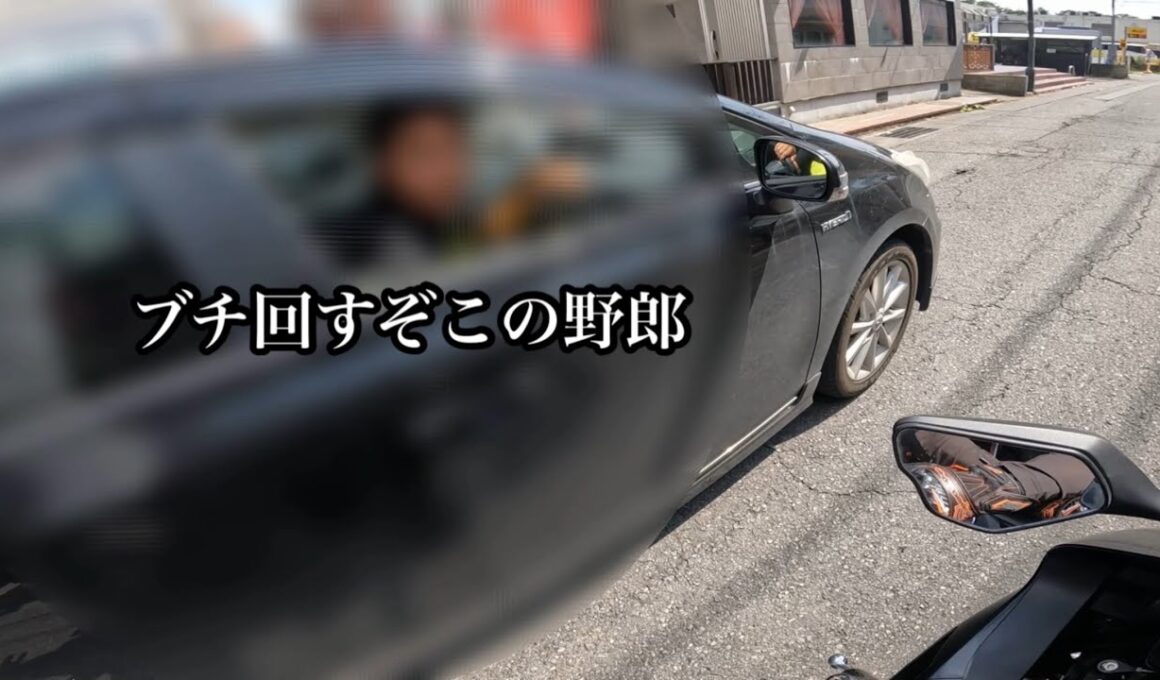 煽り運転してきた輩プリウスを追い回して鉄拳制裁
