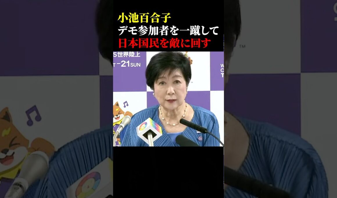 小池百合子デモ参加者を一蹴して日本国民を敵に回す #政治 #小池百合子 #エジプト #デモ #記者会見 #緑のたぬき