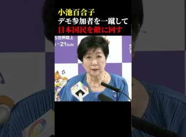 小池百合子デモ参加者を一蹴して日本国民を敵に回す #政治 #小池百合子 #エジプト #デモ #記者会見 #緑のたぬき