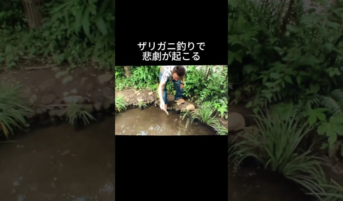 モヤさま　突然の悲劇