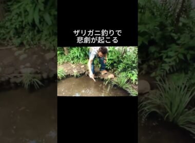 モヤさま　突然の悲劇