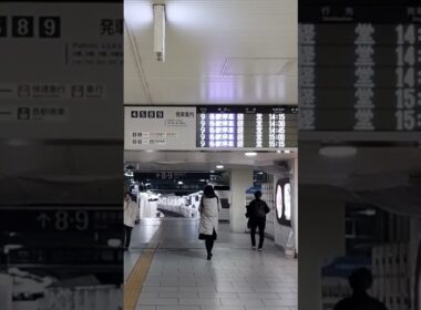 20230215成城学園前駅で人身事故のため、経堂折り返し中