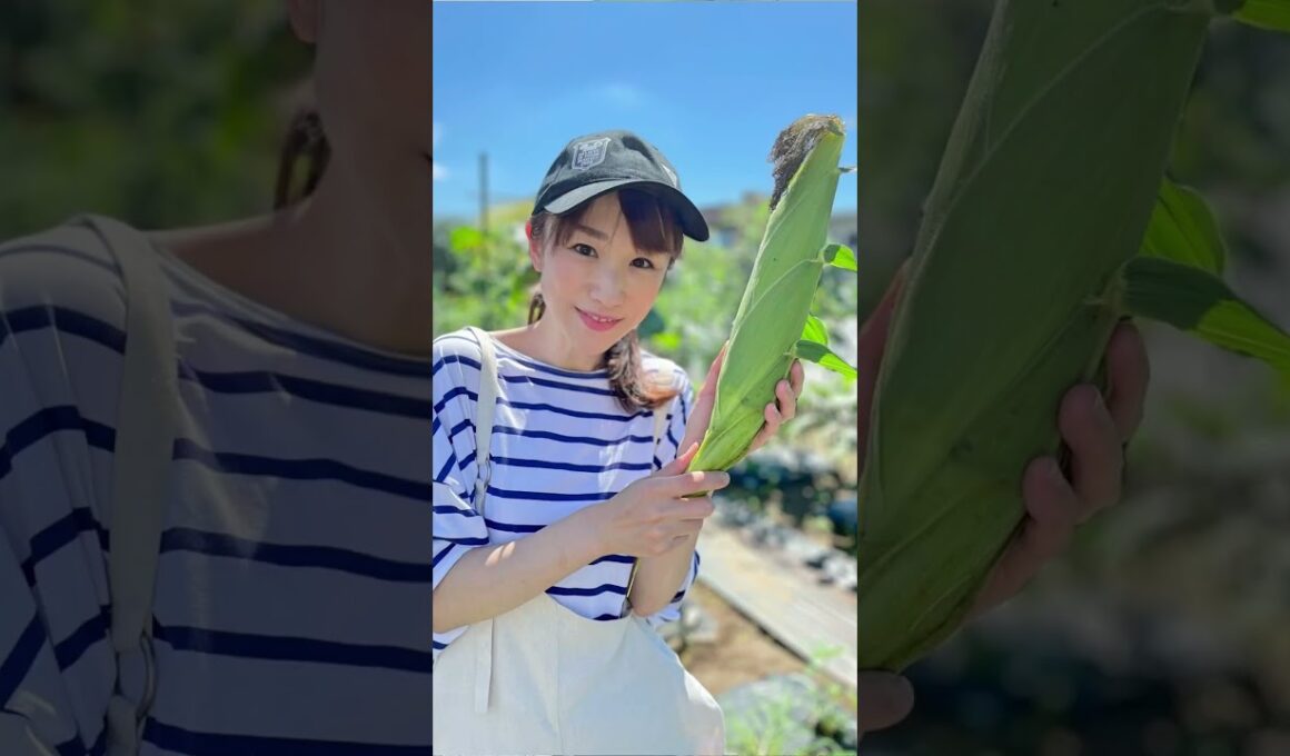 【堂真理子】いますぐ動こう、気温上昇を止めるために。【1.5℃の約束】#shorts