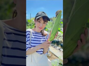 【堂真理子】いますぐ動こう、気温上昇を止めるために。【1.5℃の約束】#shorts