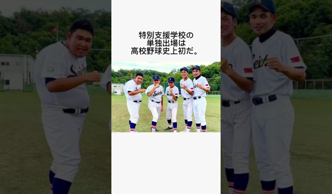 【感動】高校野球の歴史を変えた青鳥特別支援学校に関する雑学#shorts#感動#高校野球#雑学#涙#東京