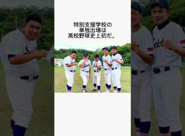 【感動】高校野球の歴史を変えた青鳥特別支援学校に関する雑学#shorts#感動#高校野球#雑学#涙#東京