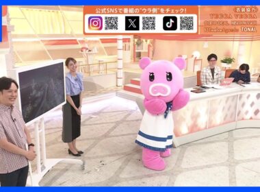 【9月26日 関東の天気】週末は　夏、カムバック！｜TBS NEWS DIG