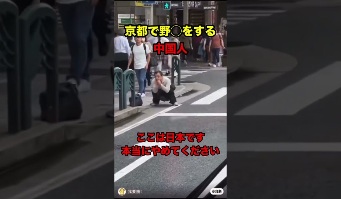 これはやばすぎる。 #自民党 #石破茂 #財務省