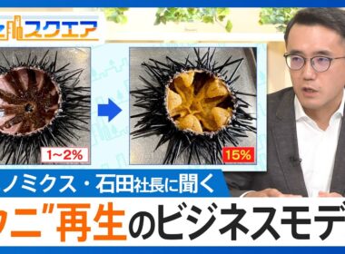 海藻食い荒らし、磯焼け起こす厄介者を「海の宝石」へ　ウニノミクス・石田晋太郎社長に聞く“中身がスカスカのウニを再生、世界一の錬金術”とは【Bizスクエア】