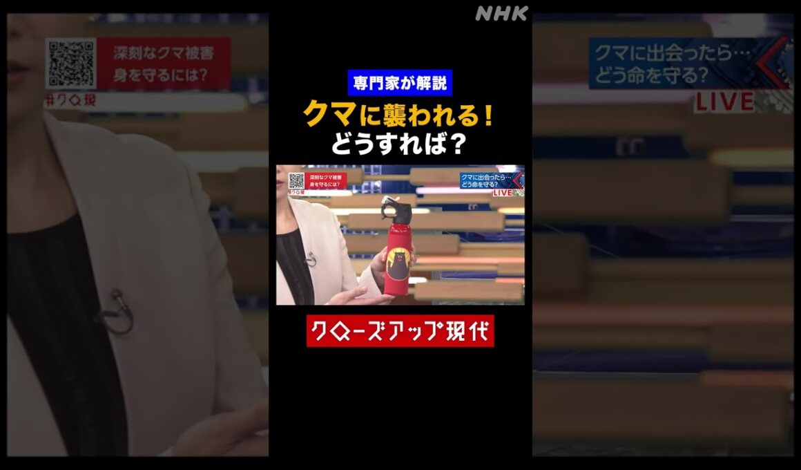 【専門家が解説】クマに襲われる！どうすれば？【クロ現】| NHK | #shorts