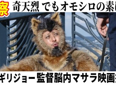 💁‍♀️【THEオリバーな犬 】効かせたスパイスはあの映画・あの監督!? ＃映画感想 #映画紹介 ＃うるりこ Ep.128