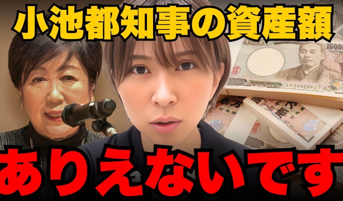 ※削除される前に見てください。小池都知事の資産額を調べたらとんでもない額でした...【小池百合子/都議会】