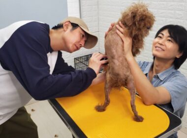 🌸🐾 「氷川きよし×相葉雅紀、命をつなぐ奇跡のトリミング✨保護犬と笑顔あふれる感動の3時間SP」 🐶💖