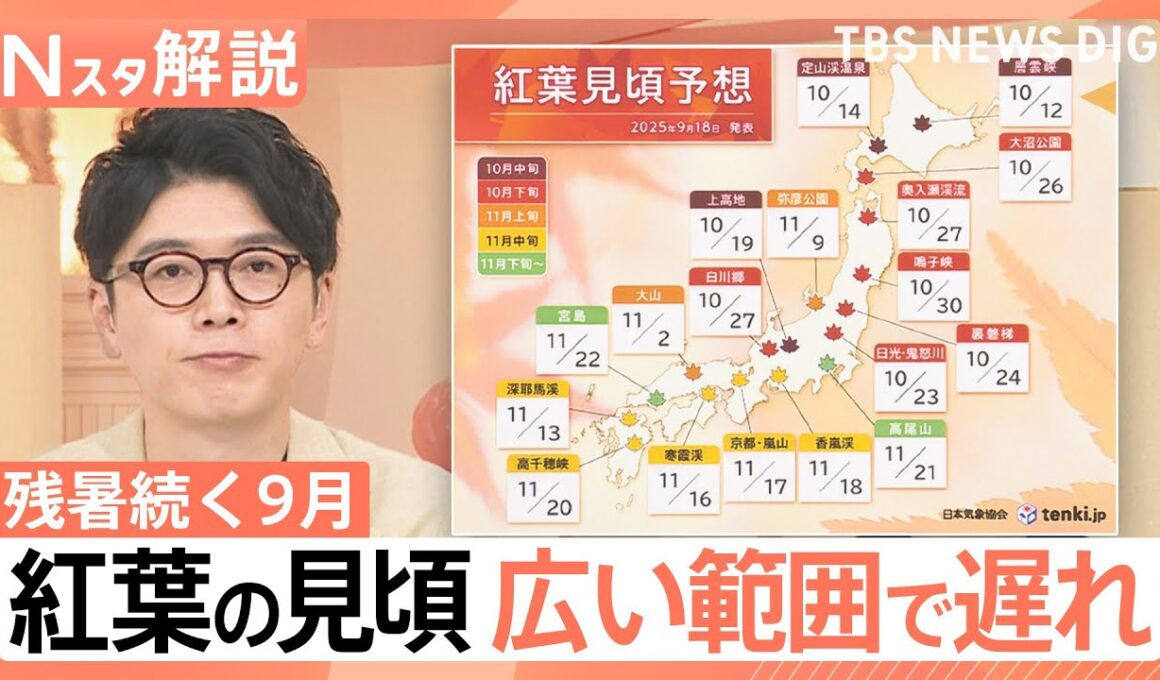 残暑続く9月…今年の紅葉は「広範囲で遅れ」色づく間もなく葉が落ちる可能性も？【Nスタ解説】｜TBS NEWS DIG