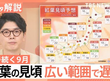 残暑続く9月…今年の紅葉は「広範囲で遅れ」色づく間もなく葉が落ちる可能性も？【Nスタ解説】｜TBS NEWS DIG