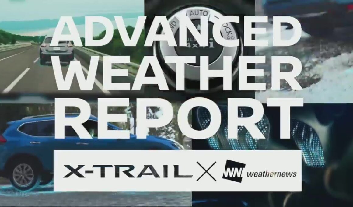 #01：ペルセウス座流星群を目撃せよ　白井ゆかり・山岸愛梨／ADVANCED WEATHER REPORT 2019年8月12日　《ウェザーニュースLIVE切り抜き》