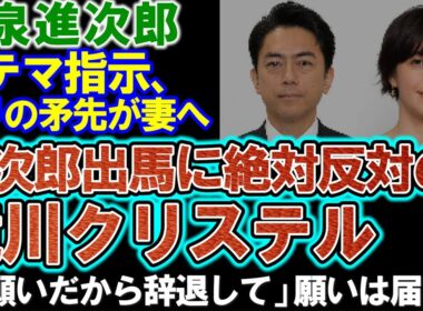 【小泉進次郎】総裁選出馬に絶対反対の滝川クリステル「おもてなしできない理由」胸中を明かす。ステマ指示の批判が妻に向けられる。