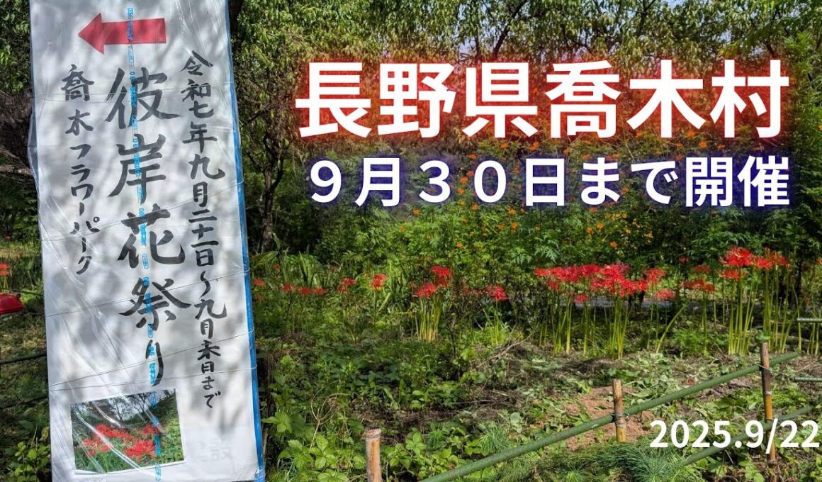 長野県喬木村【喬木フラワーパーク】(2025.9/22)