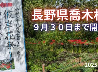 長野県喬木村【喬木フラワーパーク】(2025.9/22)