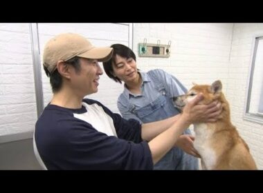 氷川きよし、相葉雅紀と“保護犬トリミング”　有働由美子＆遠藤憲一は猫の“ミルクボランティア”