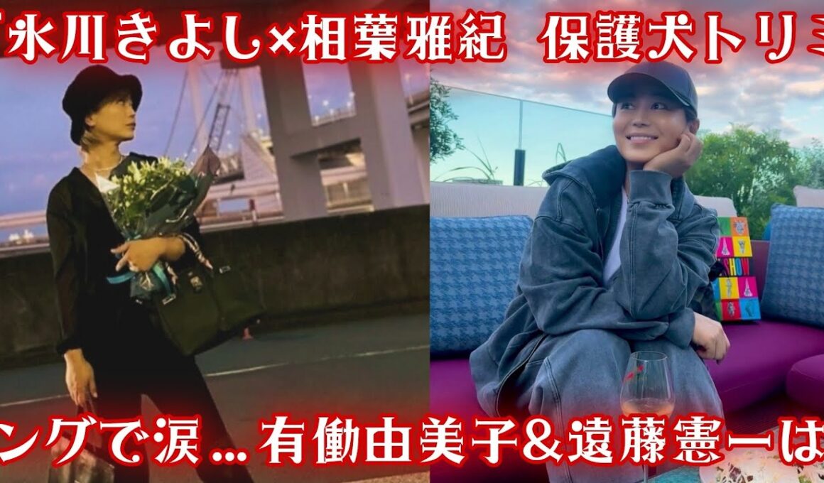 「氷川きよし×相葉雅紀 保護犬トリミングで涙…有働由美子&遠藤憲一は猫ボランティアに挑戦」 #氷川きよし #相葉雅紀 #有働由美子 #遠藤憲一 #エンタメニュース